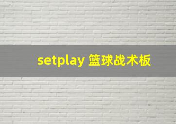 setplay 篮球战术板